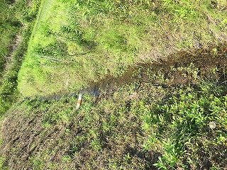 綺麗な水が流れてる水路の写真