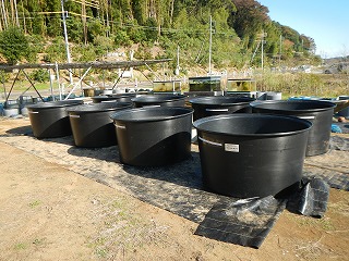 大型容器8個購入