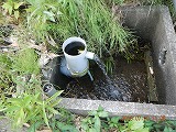 自噴池の写真