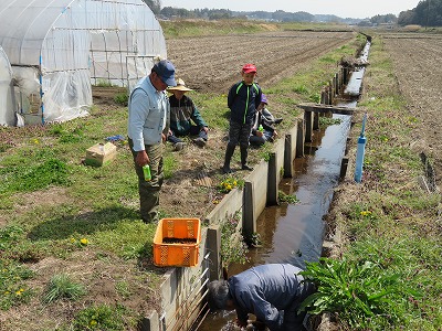 カワニナ水路の写真