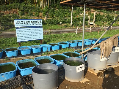 実験場の写真