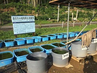 新実験場と看板