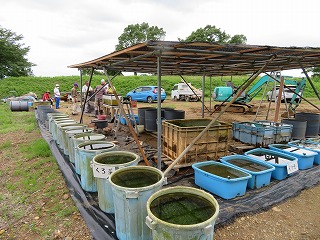 沢山の容器の運搬と設置